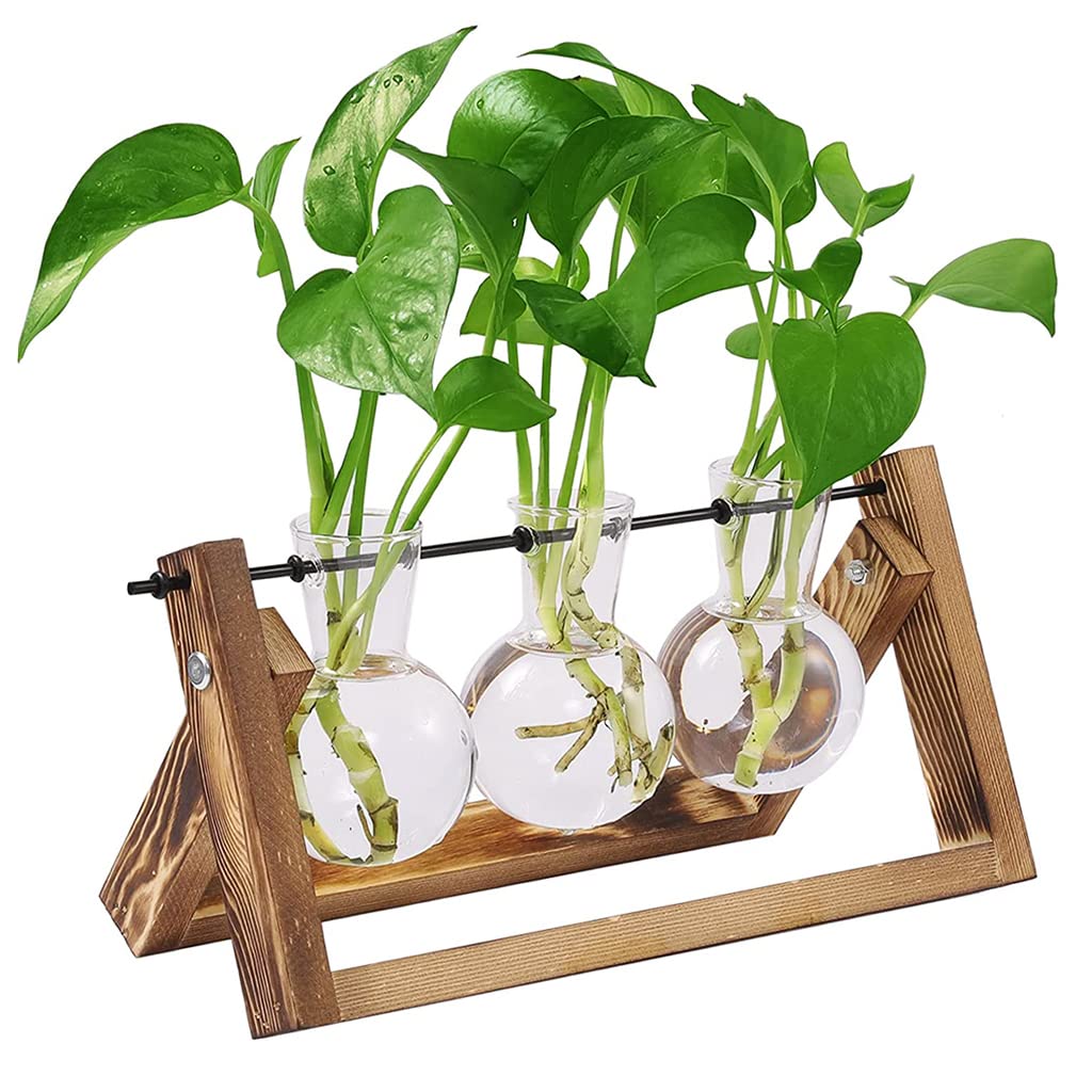 HASTHIP Elegant 6Pcs Glass Hydroponic Planters with Durable Wooden Stand - Versatile Indoor Desktop Terrarium, Perfect for Money Plants, Herbs, Flowers - Ideal Gift for Home & Office Decor HASTHIP Elegant 6Pcs Glass Hydroponic Planters with Durable Wooden Stand - Versatile Indoor Desktop Terrarium, Perfect for Money Plants, Herbs, Flowers - Ideal Gift for Home & Office Decor